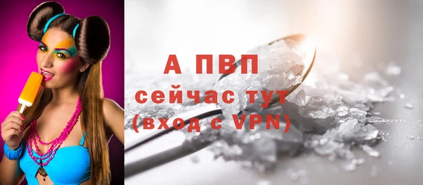 гидра Каменногорск