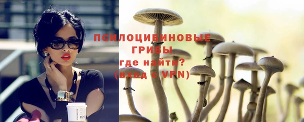 дурь Касимов