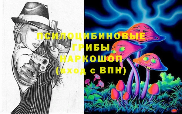 дурь Касимов