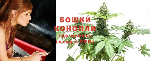 метадон Карпинск