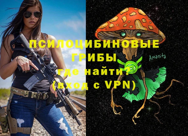 стафф Козельск